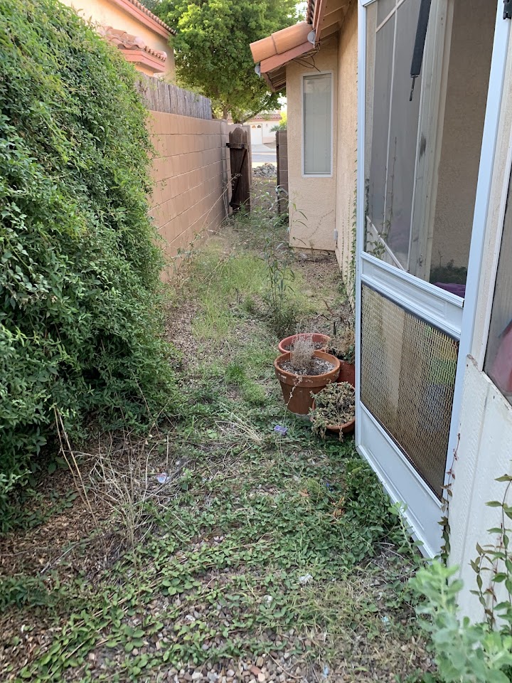 Alpha Landscaping LLC project